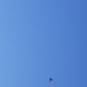 Meet your Posher, Shane